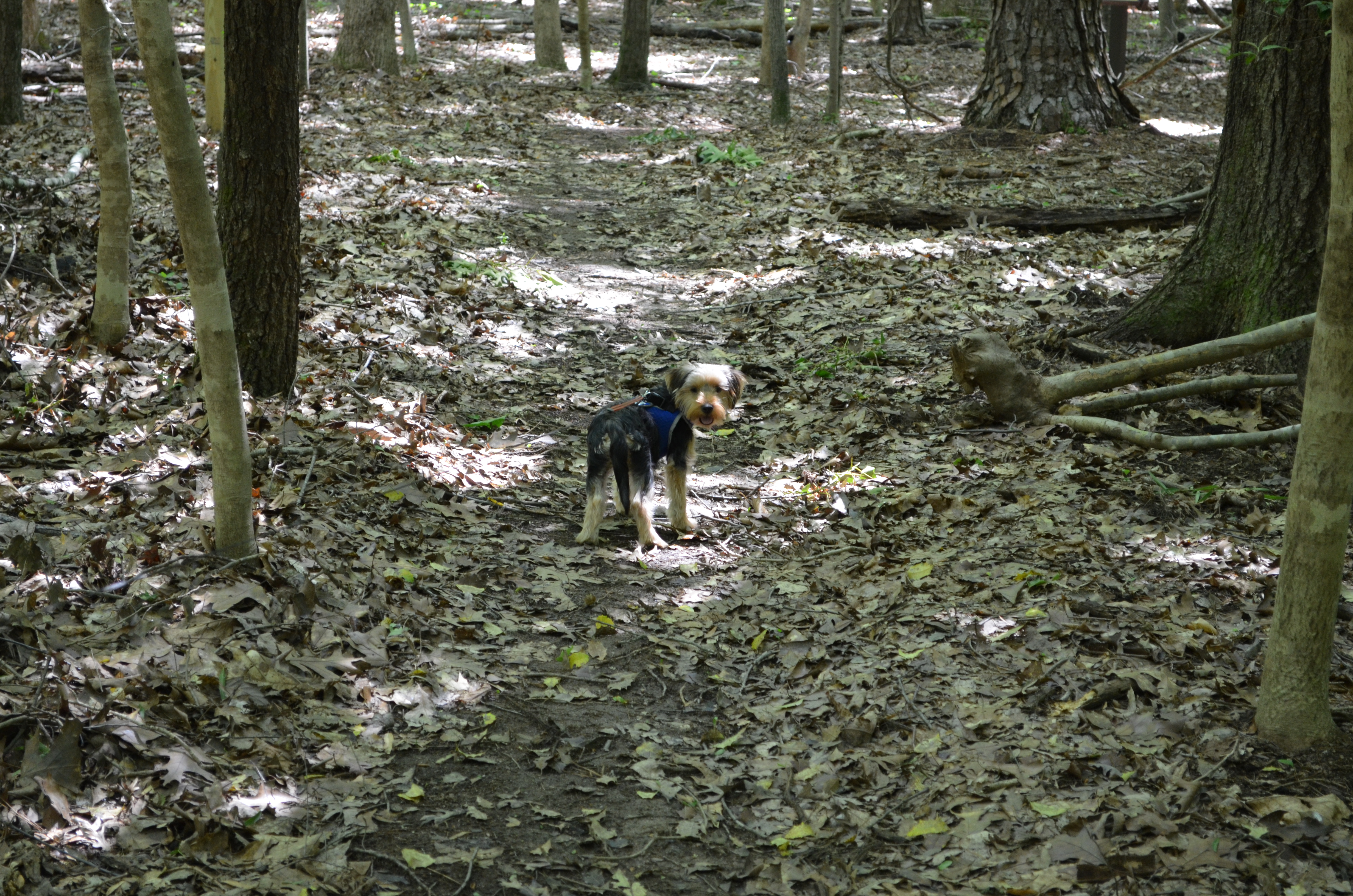 ./2016/09 - Kerr Lake/DSC_0908.JPG